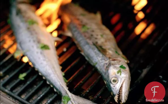 Macrou Perfect La Grătar