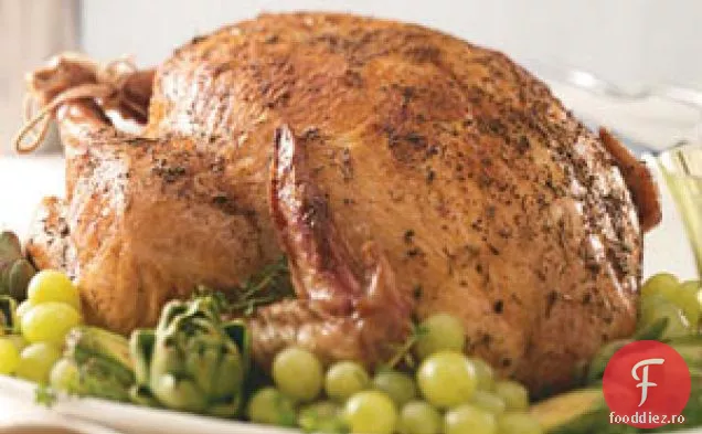 Curcan Prăjit Cu Ierburi