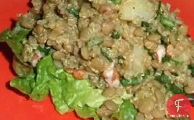 Salată De Linte Cu Fructe Curry