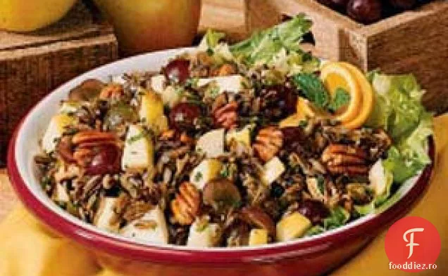 Salată De Orez Sălbatic Cu Fructe