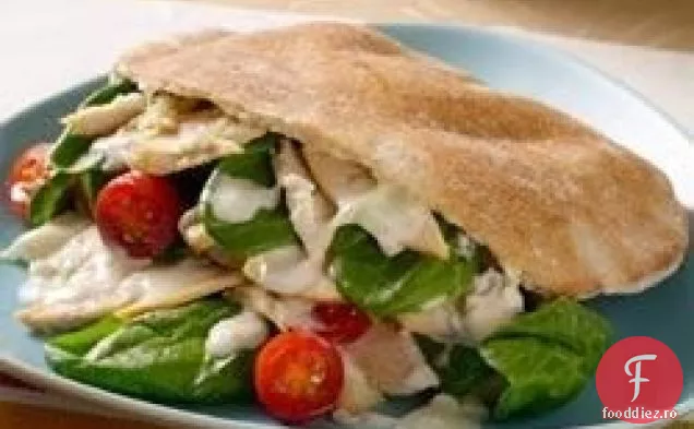 Giroscoape de pui sau curcan