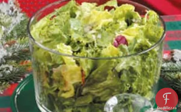 Pansament Mixt Pentru Salată De Ierburi