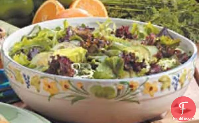 Salată De Floarea Soarelui Aruncată