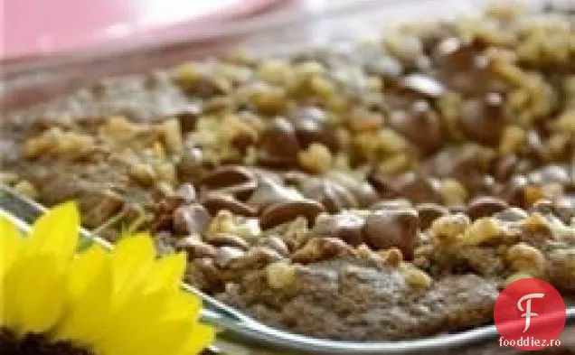 Tort De Fulgi De Ovăz Cu Ciocolată
