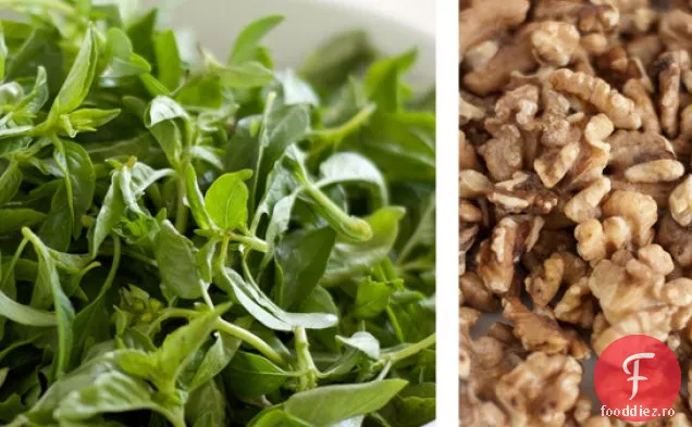 Rețetă De Bază Pentru Pesto De Nucă De Busuioc