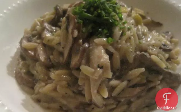 Cremă De Ciuperci Și Praz Orzo