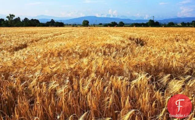 Supă Farro Și Praz
