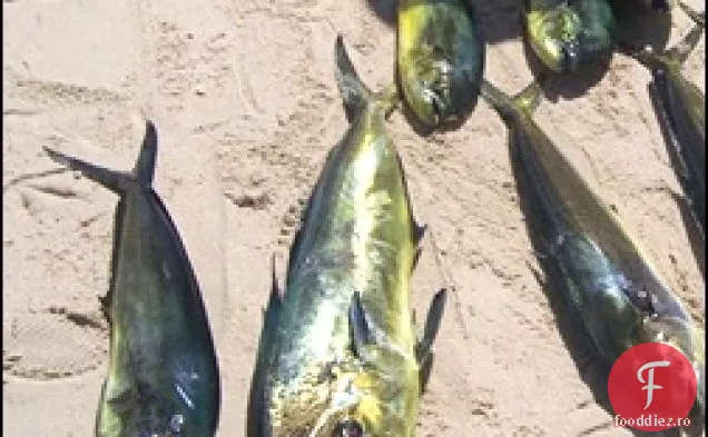 Greacă Mahi Mahi