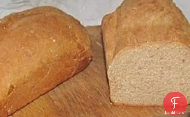100% pâine integrală