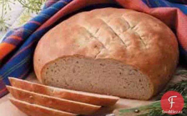 Dill Rye Rounds