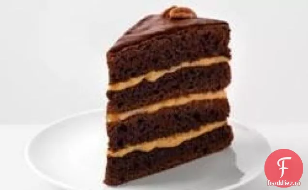 Torte țestoasă cu ciocolată și caramel