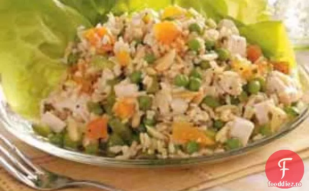 Salată de orez cu pui de caise