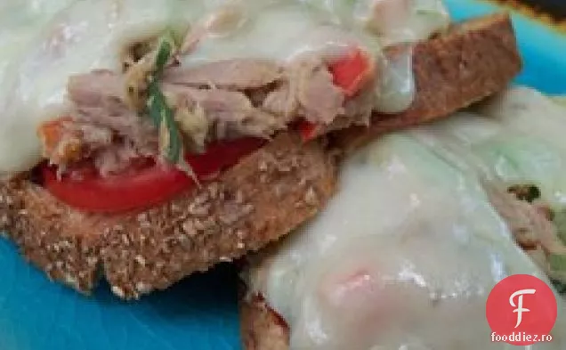 Umplutură de sandvici cu ton fără maionă