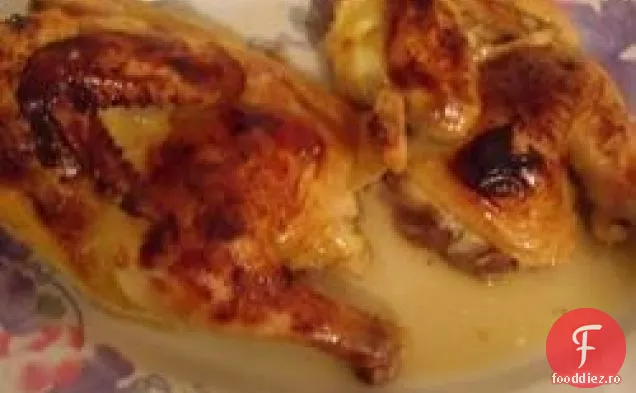 Găinile Cornish Honey Orange