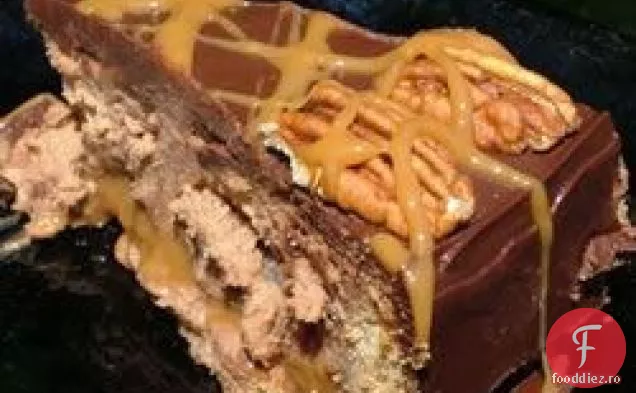 Cheesecake cu țestoasă cu ciocolată I