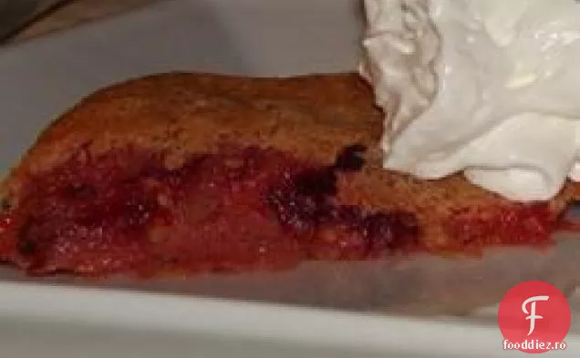 Prăjitură proaspătă cu caise și miere (stil rusesc)