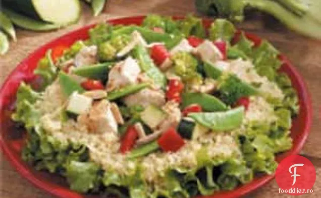 Salata de cuscus cu pui cu susan