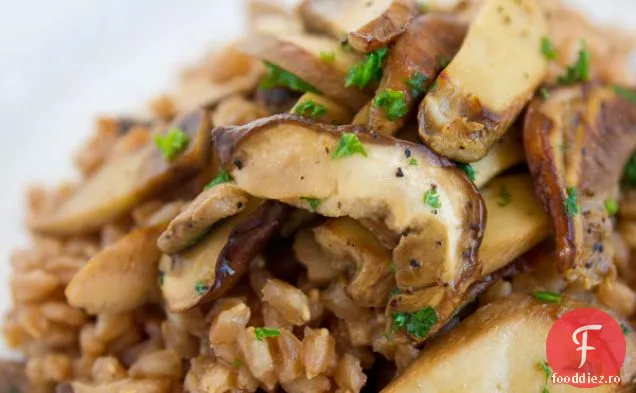Ciuperci Farro și Porcini (farro Con Funghi)