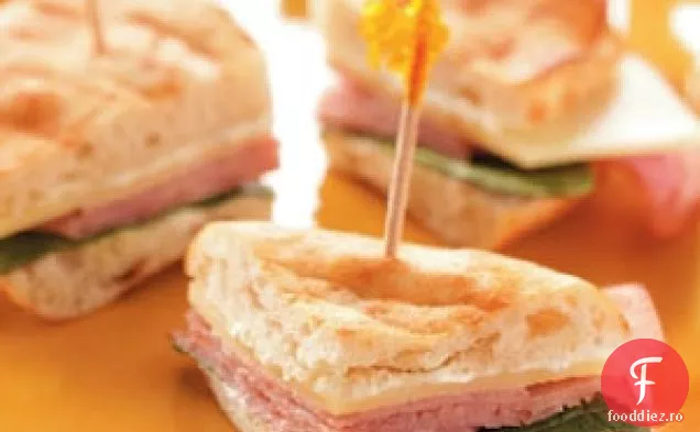 Pitas de petrecere