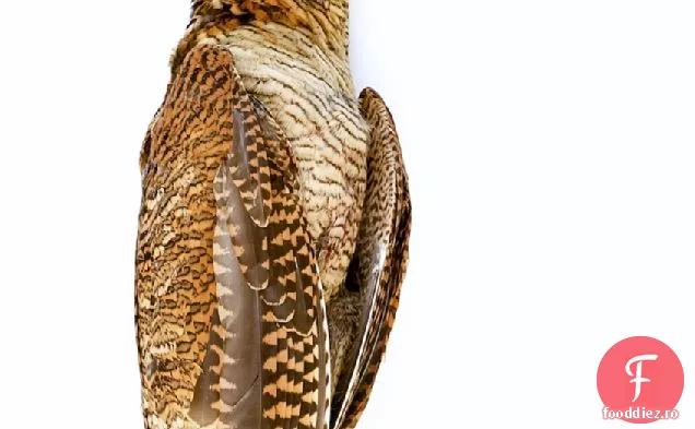 Cocoș De Pădure Prăjit, Anghinare De Ierusalim Trufată Și Boulangere