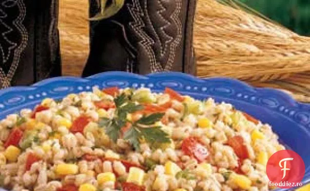 Salată colorată de orz