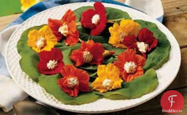 Ronturi de nasturtium