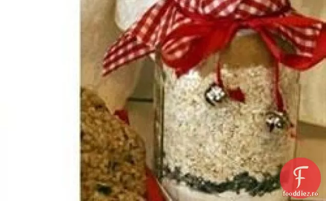 Amestecul de biscuiti cu fulgi de ovaz intr-un borcan