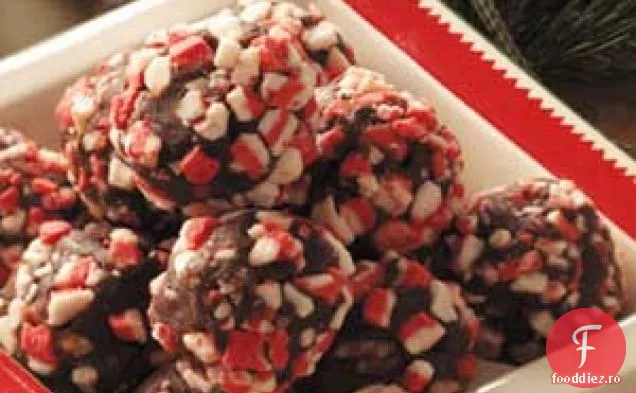 Trufe Fudge cu mentă