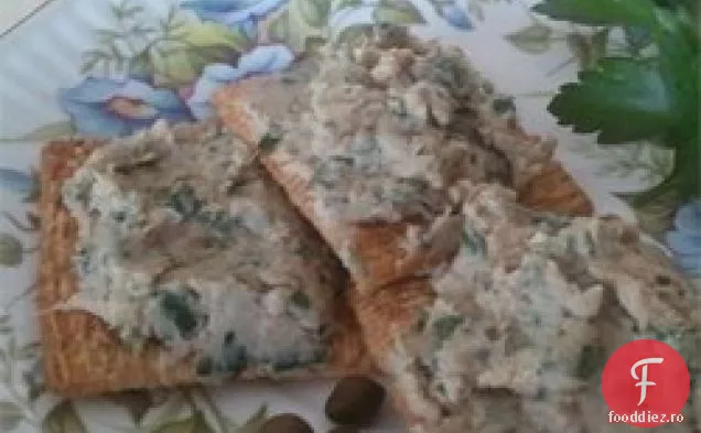 Tartinată cu ton italian