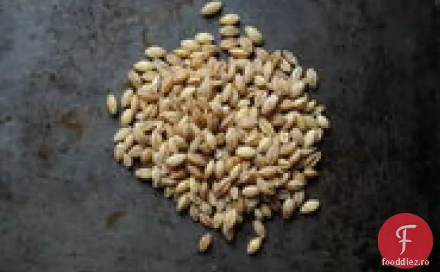 Mersul Pe Jos Spaniolă Pe Hol Partea 2; Omagiu Cataloniei