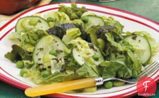 Salată verde amestecată