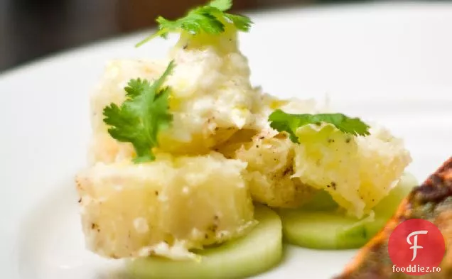 Yuca Cu Mojo De Iaurt