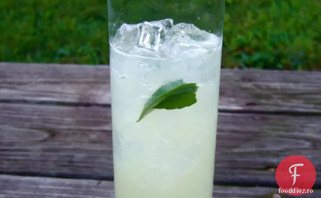 Thai Ghimbir Var Cooler