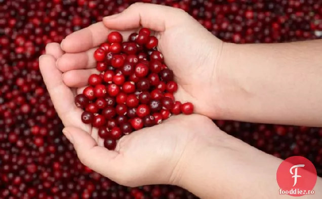 Tal Ronnen salvie și semințe de dovleac Veggie Scaloppini