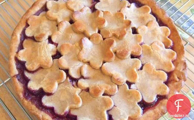 Cherry Berry Pie Cel Mai Bun Plăcintă Bakeoff 2008 Intrare #2