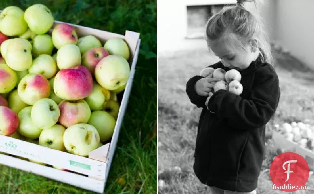Biscuiți vegani și fără Gluten cu mere și ovăz