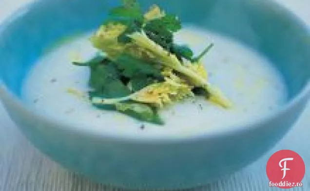 Supă Picantă De Păstârnac
