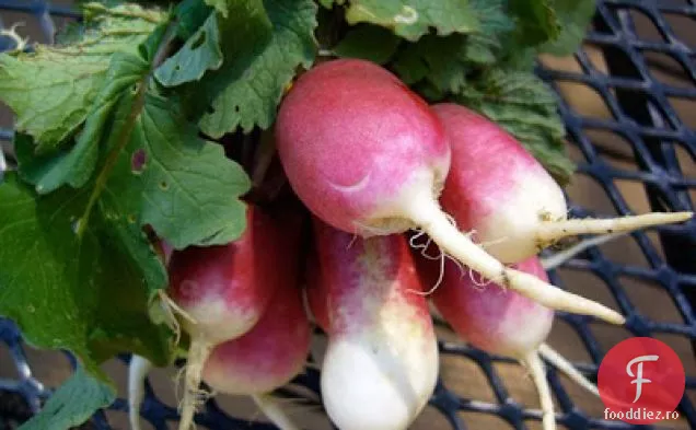 Radish Chimichurri