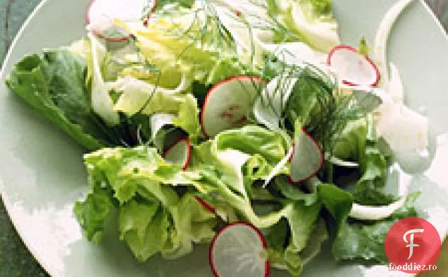 Salată De Fenicul, Escarole Și Ridiche