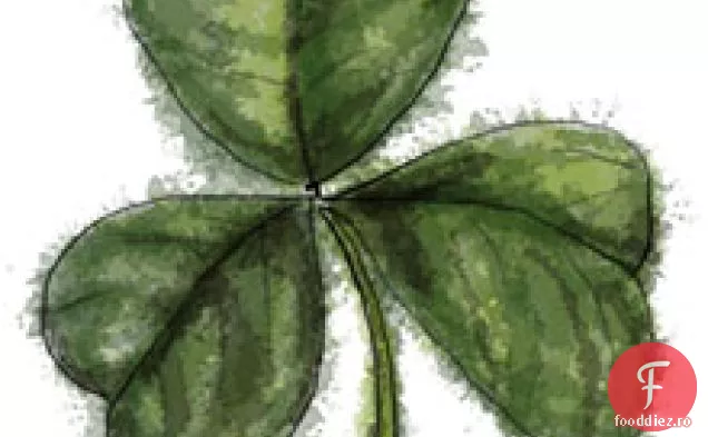 Tort De Catifea Verde