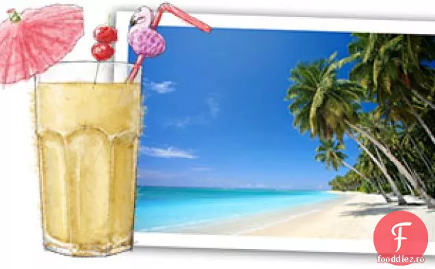 Prăjituri Tropicale Cu Cupă De Ciocolată Cu Nucă De Cocos