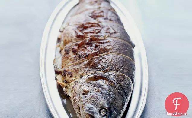 Somon Sălbatic Întreg Umplut