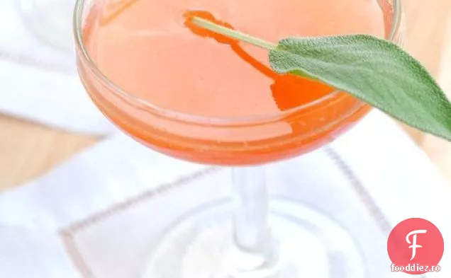 Salvia De Vară