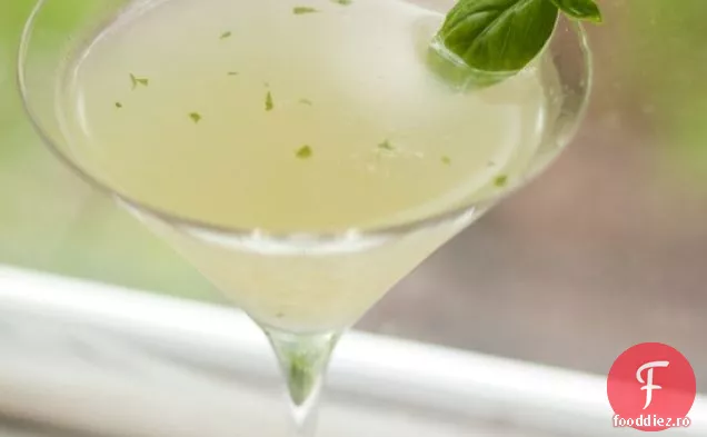 Rețetă De Gimlet De Busuioc