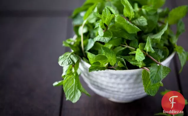 Chutney De Mentă