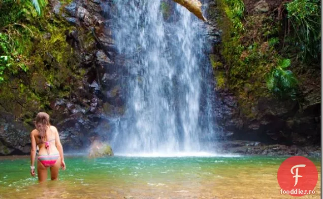 Caprese Pizza & Gorgonzola Salată De Zmeură Și Nuci