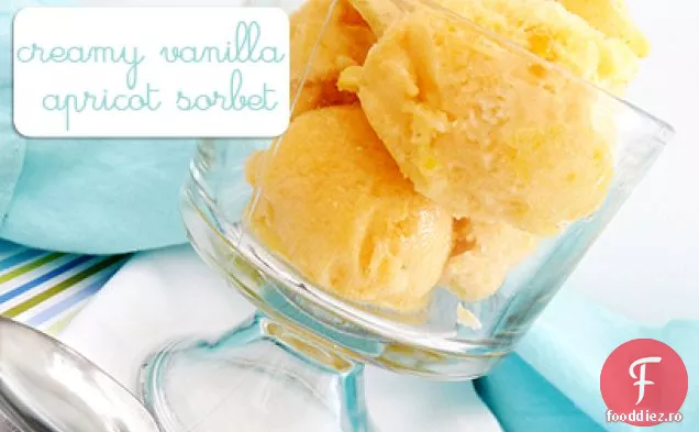 Sorbet Cremos De Caise De Vanilie Cu Coajă De Migdale De Ciocolată Albă