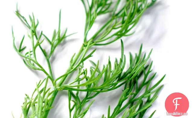 Week-End Herb Blogging #118