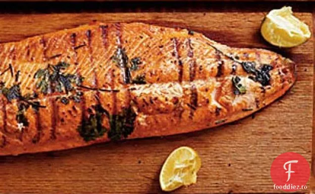 Somon sălbatic la grătar cu Salsa de castraveți-Avocado