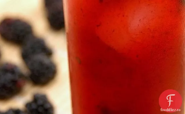 Rețetă De Cocktail Blackberry Tom Collins